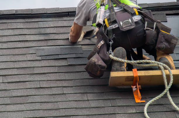 Best Roof Repair Services  in Montegut, LA