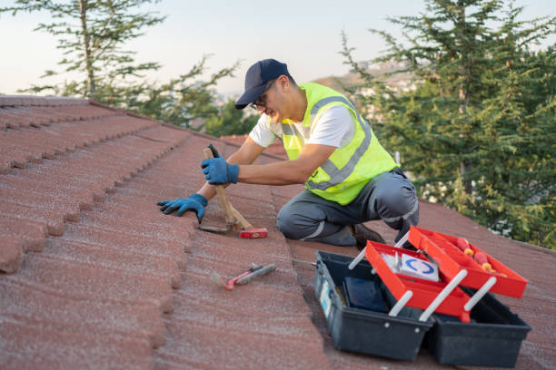 Best Roof Gutter Cleaning  in Montegut, LA